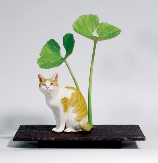 蕗と茶とら